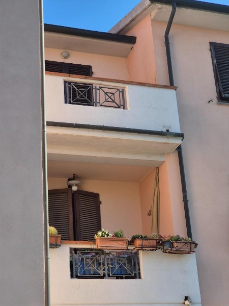 immagine annuncio 7 di 14