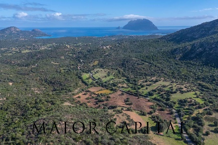 Foto Terreno agricolo in Loc. Tiriddò, Loiri Porto San Paolo in vendita