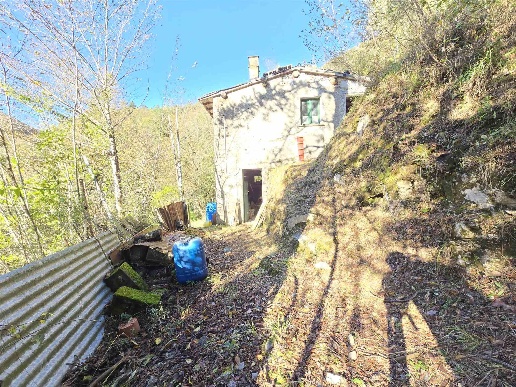 immagine annuncio 2 di 13