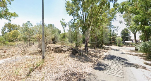 Foto Terreno agricolo in Balestrieri/ Viale Musco, Belpasso Frumenti