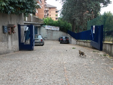 Foto Negozio in via dei Lampugnani, Roma Pisana - Bravetta di 220 m²