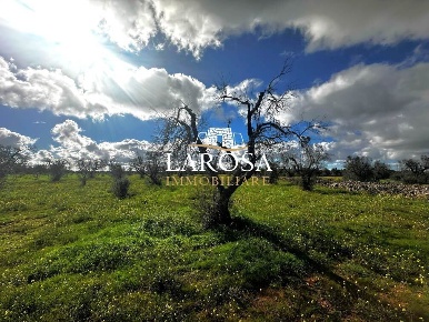 Foto Terreno agricolo in SP229 154, Vernole di 10 m² in vendita