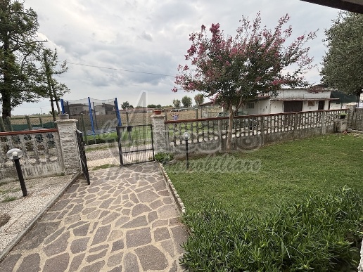 immagine annuncio 4 di 14