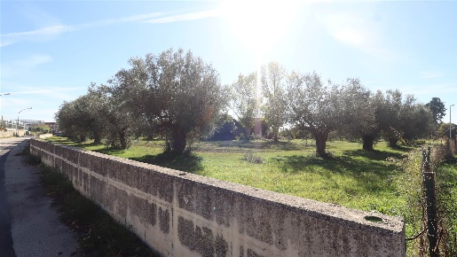 Foto Terreno edificabile a Capua Centro di 17338 m² in vendita