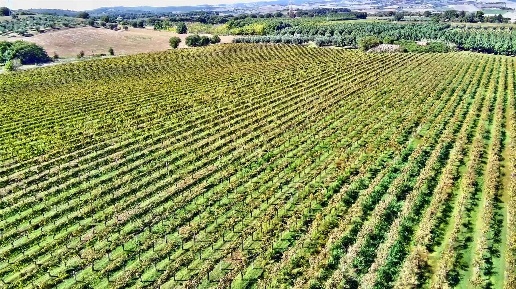 Foto Agriturismo a Manciano Montemerano di 609 m² con 6 locali in vendita