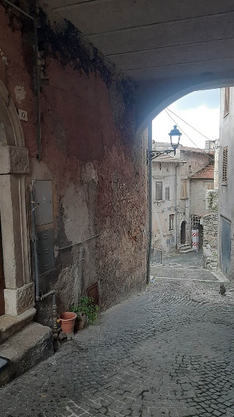 immagine annuncio 6 di 11