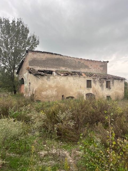 immagine annuncio 3 di 8