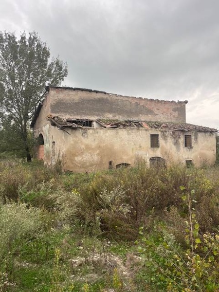 immagine annuncio 4 di 8