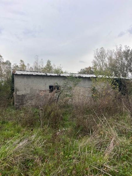 immagine annuncio 5 di 8