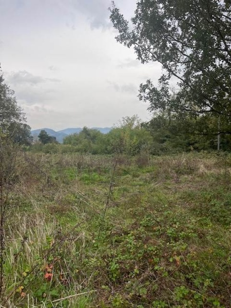 immagine annuncio 6 di 8