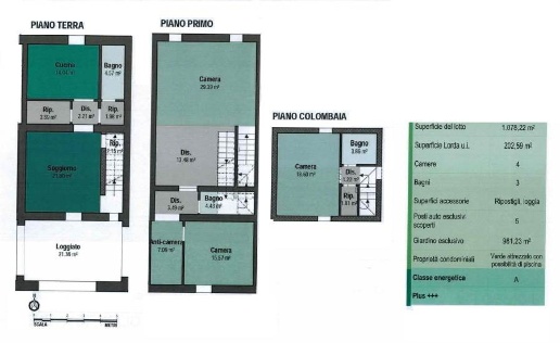 immagine annuncio 9 di 13