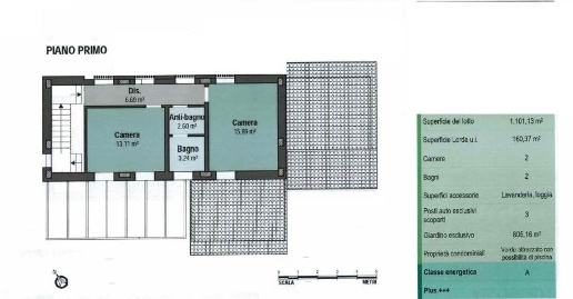 immagine annuncio 11 di 13