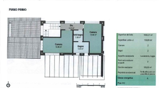 immagine annuncio 12 di 13