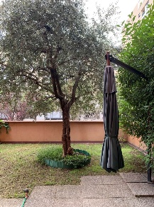 Foto Appartamento in Piazza dei Daini 4, Milano Bicocca di 66 m² in affitto