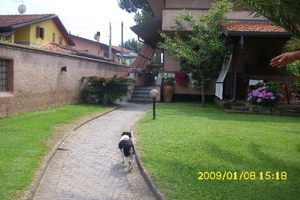 Foto Villa unifamiliare a Massa Turano di 180 m² con 8 locali in vendita