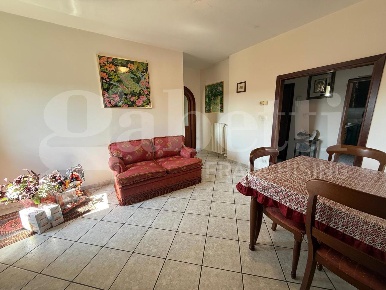 Foto Attico in Via CELLERE 13, Nettuno Loricina, Seccia, Tre Cancelli