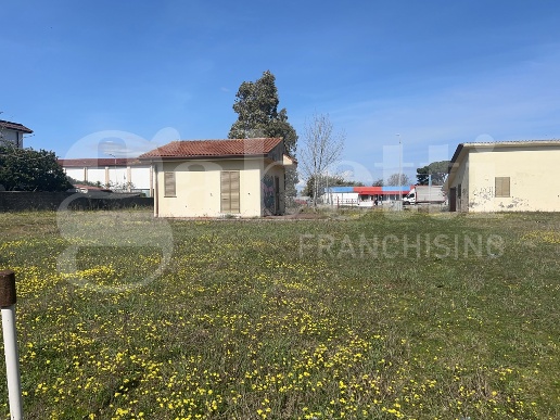 immagine annuncio 3 di 8