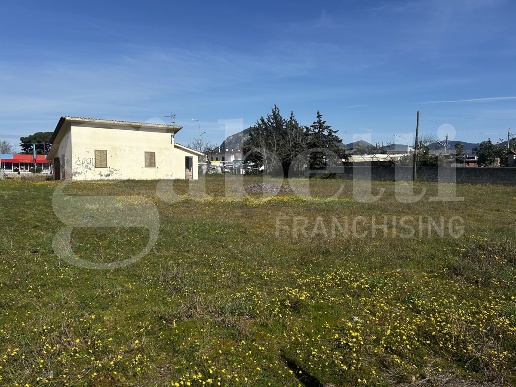 immagine annuncio 4 di 8