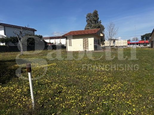 immagine annuncio 5 di 8