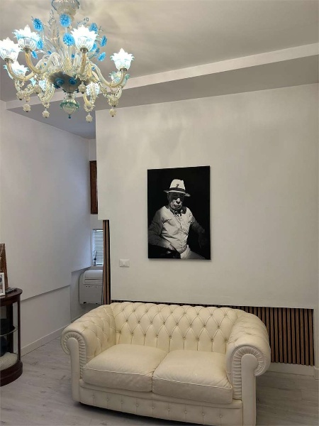 immagine annuncio 1 di 12