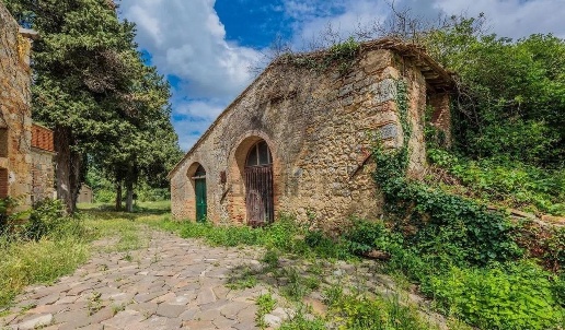 immagine annuncio 5 di 13