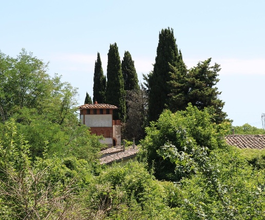 immagine annuncio 9 di 13