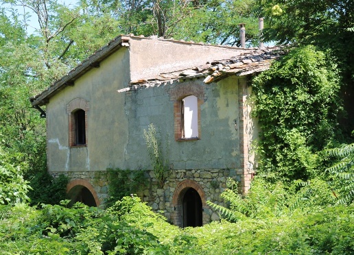 immagine annuncio 10 di 13