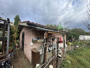 Foto Struttura sanitaria in località barbanella vecchia, Grosseto di 25 m²