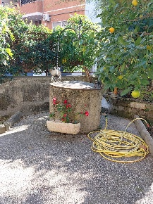 Foto Appartamento in traversa via Sicilia, Terracina di 70 m² con 6 locali