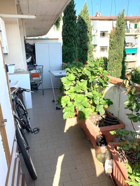 immagine annuncio 6 di 12