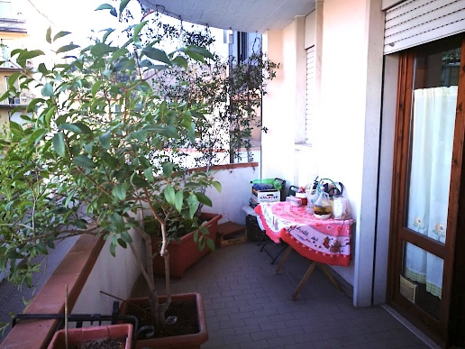 immagine annuncio 7 di 12