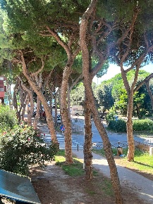 Foto Appartamento a Follonica Zona Nuova, Pratoranieri di 45 m² in vendita