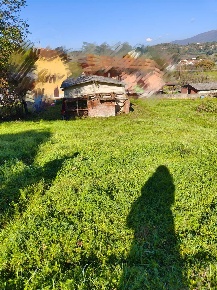 Foto Terreno agricolo a Terranuova Bracciolini di 35 m² in vendita