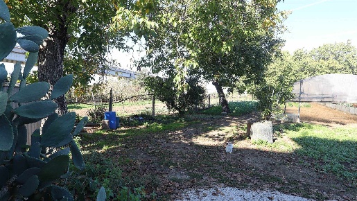 Foto Terreno edificabile a Santa Maria Capua Vetere di 16115 m² in vendita