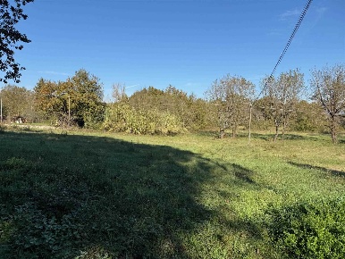 Foto Terreno agricolo in San Manno 5, Ceprano Centro di 15770 m² in vendita