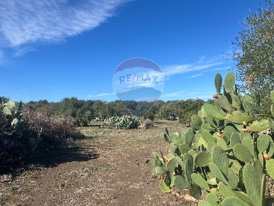 Foto Terreno agricolo in STRADA COMUNALE DECIMA, Belpasso di 3800 m²