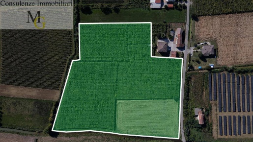 Foto Terreno agricolo a Cologna Veneta Terramassi di 33000 m² in vendita