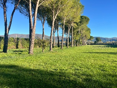 Foto Terreno residenziale a Spoleto Centro Storico di 5500 m² in vendita