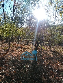 Foto Terreno agricolo in strada bironera, Cantalupa di 6000 m² in vendita