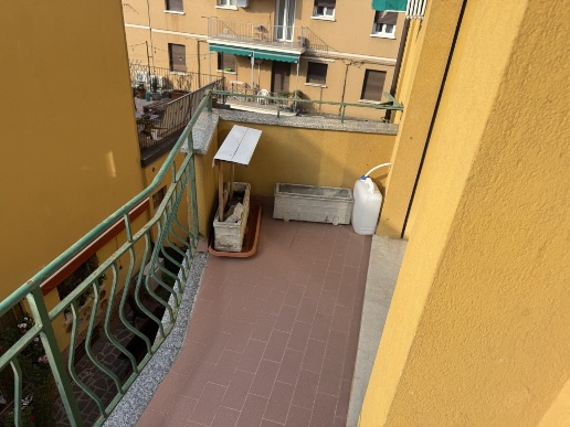 immagine annuncio 2 di 7