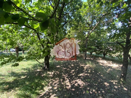 immagine annuncio 11 di 14