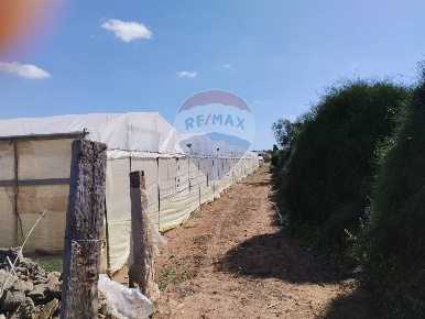 Foto Terreno agricolo a Vittoria di 20000 m² in vendita