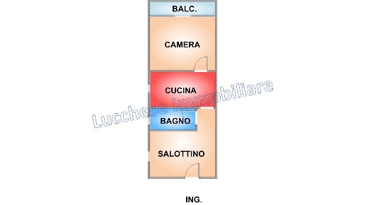 immagine annuncio 5 di 7