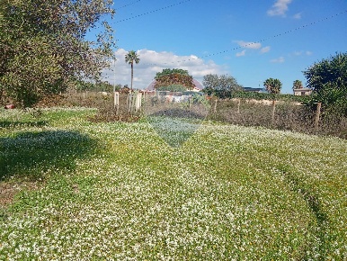 Foto Terreno agricolo in Santa Maria del Focallo, Pozzallo di 5600 m²