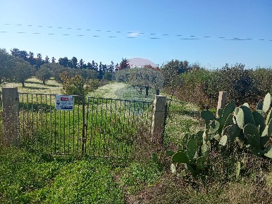 Foto Terreno agricolo in Santa Maria del Focallo, Pozzallo di 5600 m²