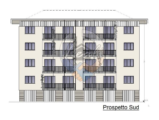 immagine annuncio 2 di 9