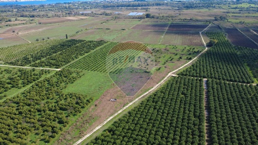 Foto Terreno agricolo in CONTRADA FONTE CIANE-PANTANO, Siracusa Tivoli