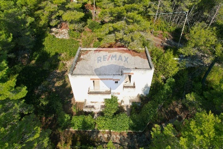 Foto Rustico in Localita' Castagneto, Vieste di 640 m² con 24 locali