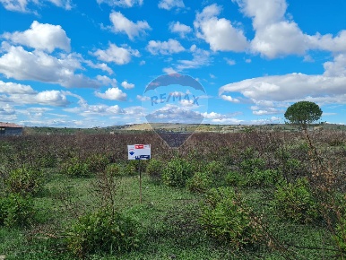 Foto Terreno agricolo in Via Maniago S.p. 67, Lentini di 10000 m²