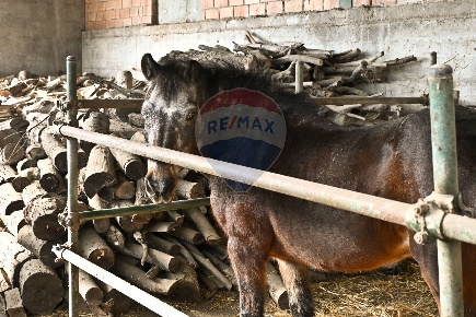 Foto Rustico in via Badia, Civitella di Romagna di 250 m² con 22 locali